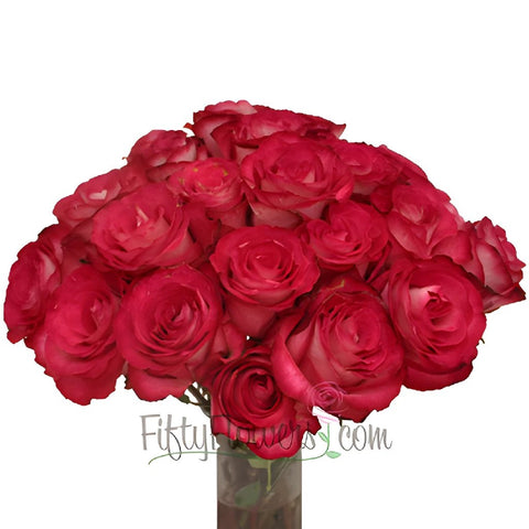 Riviera Hot Pink n Cream Bulk Wholesale Roses In a vase