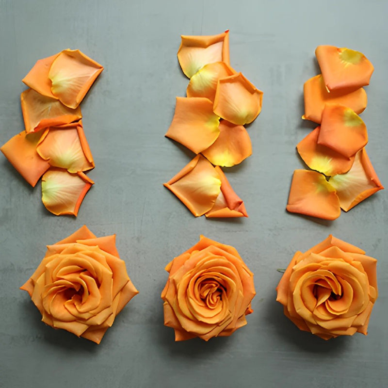 Roses and Petals Orange DIY Flower Kit Flatlay