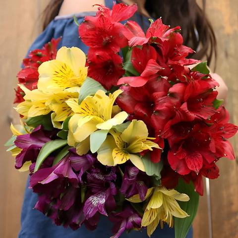 Assorted Bulk Fresh Cut Straw Flower | Wholesale Flowers | FiftyFlowers