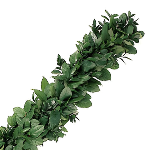 Salal and Ruscus Greens Garland