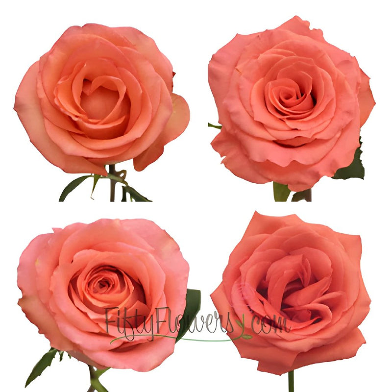 Nearly Natural 31 inch Large Rose Stem Set of 12 Red