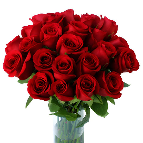 Sexy Red Bulk Red Roses