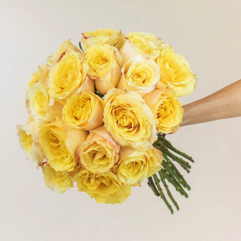 Shimmer Sister Yellow Roses in a Hand