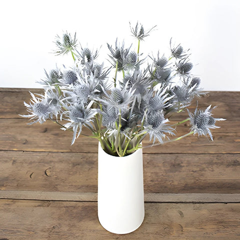 Silver Tinted Thistle Wholesale Flower In a vase