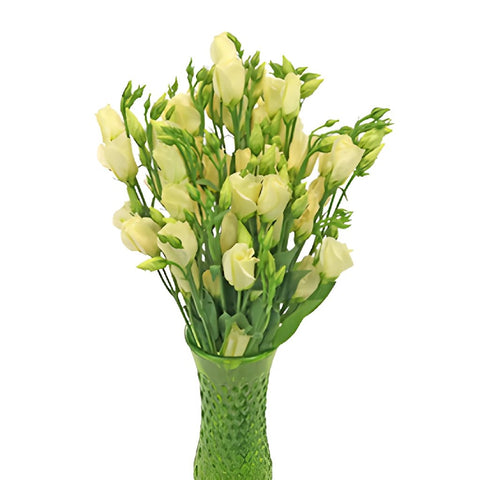 Single Piccolo Yellow Lisianthus Wholesale Flower In a vase