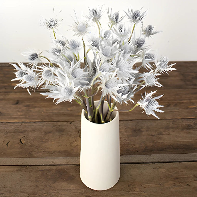 Snow White Tinted Thistle Wholesale Flower In a vase