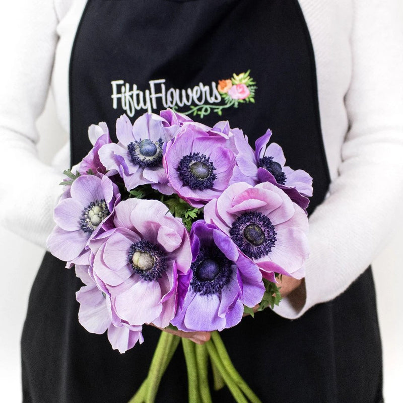 Purple Anemone Wholesale Flowers in Hand
