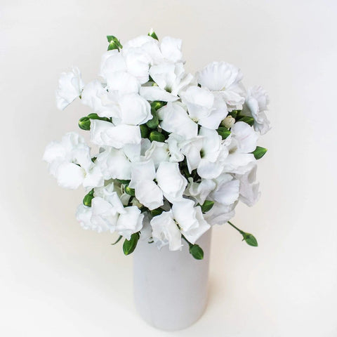 White Solomio Wholesale Flowers In a Vase
