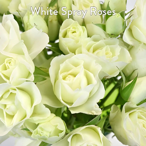 Spray Rose Eucalyptus and White Flowers DIY Flower Kit Up Close