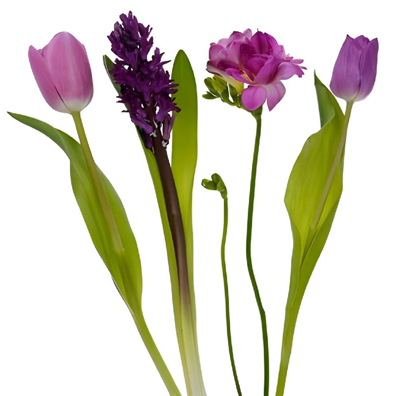 Spring Bulbs Purpleberry DIY Flower Kit Flatlay
