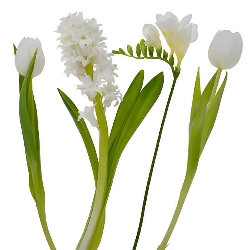 Spring Bulbs White DIY Flower Kit Flatlay