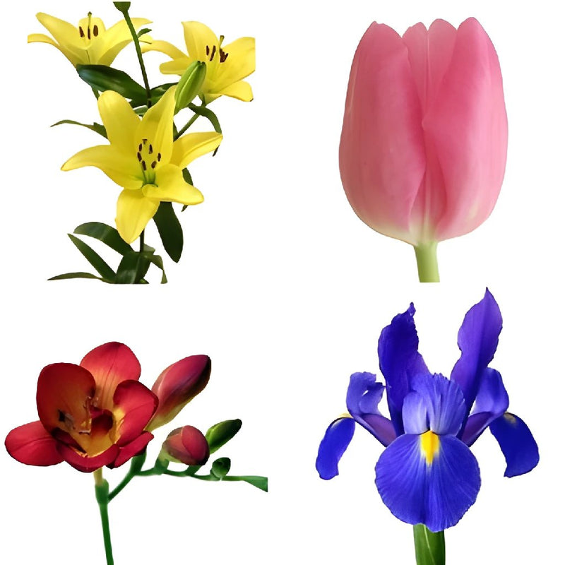 Spring Flowers Tulips, Iris, Lily, and Freesia DIY Flower Kit Bunch