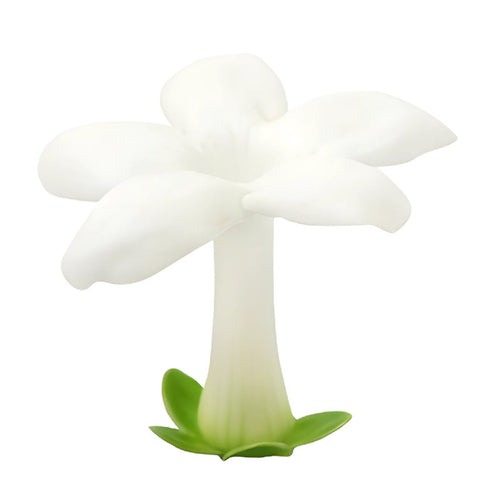 Bulk Stephanotis White Flower
