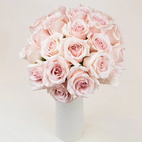 Suspiro Nude Wholesale Roses In a vase