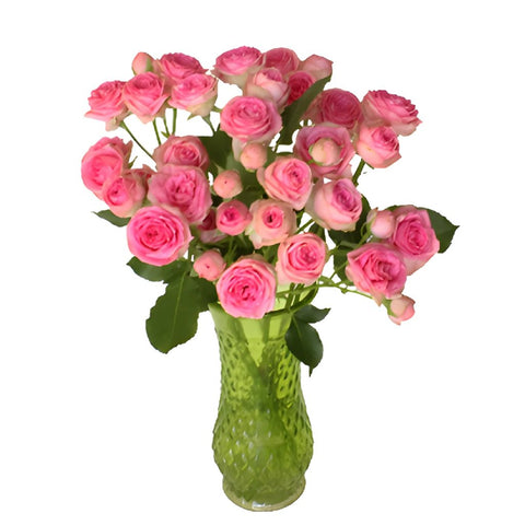 Sweet Sensation Pink Spray Wholesale Roses In a vase