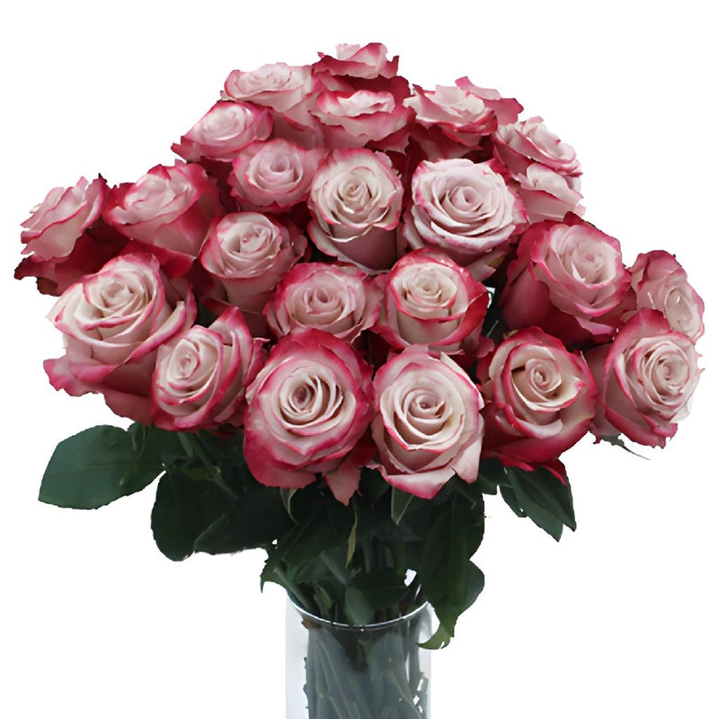 Sweetberry Lavender Fresh Cut Wholesale Roses in a Vase