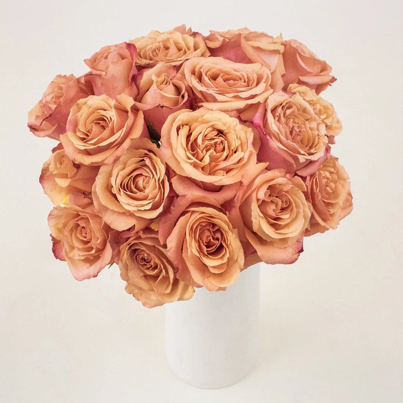 Taxo Orange Wholesale Roses In a Vase