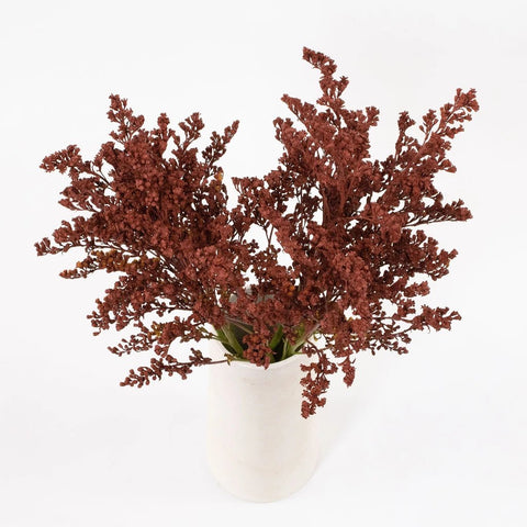Brown Solidago Flower Bunch in Vase