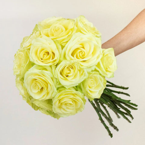 Totem Green Rose Bunch in a Hand
