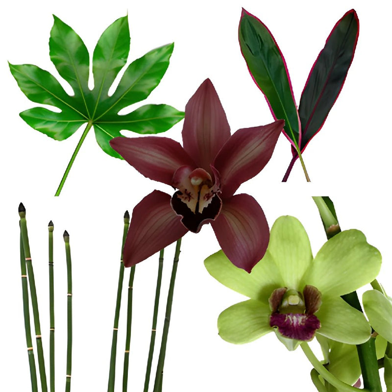 Tropical Orchid DIY Flower Kit Bunch