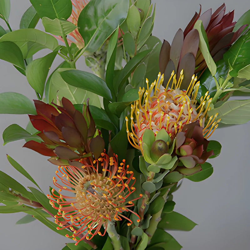 Veld Tropical DIY Flower Kit Bunch