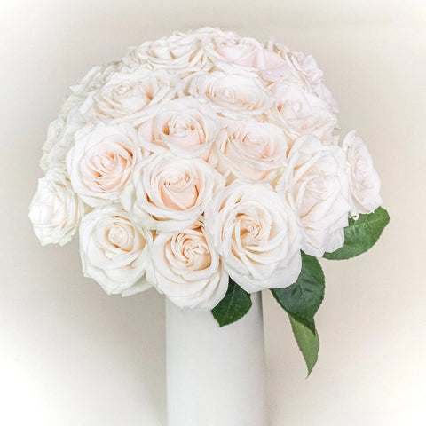 Vendela White Wholesale Roses In a Hand