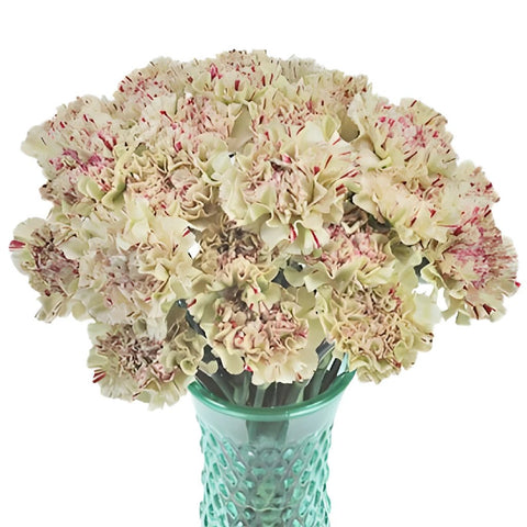 Vintage Candy Cane Carnation Flowers in a Vase