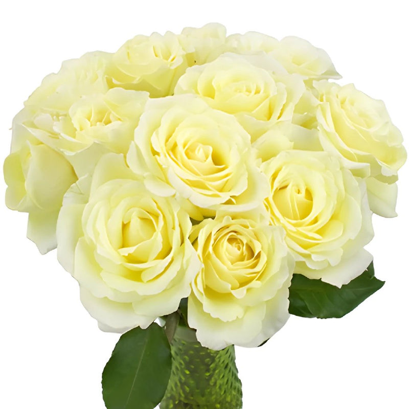 Vitality Ivory Wholesale Garden Roses In a vase