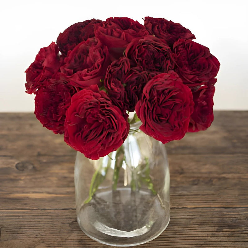 Walk of Fame Red Garden Wholesale Roses In a vase