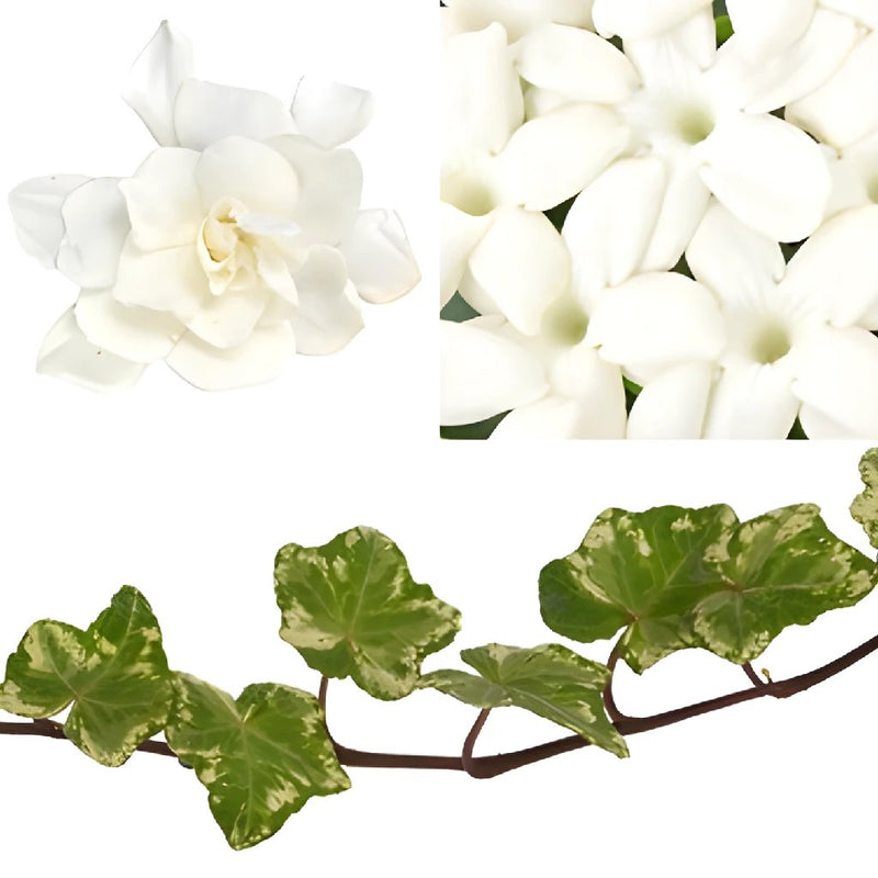 Wedding Flower Accent Variegated Ivy DIY Flower Kit Bunch