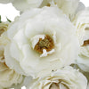 White Cloud Spray Garden Roses