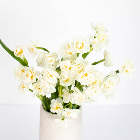 White Daffodil Flower Bunch in Vase