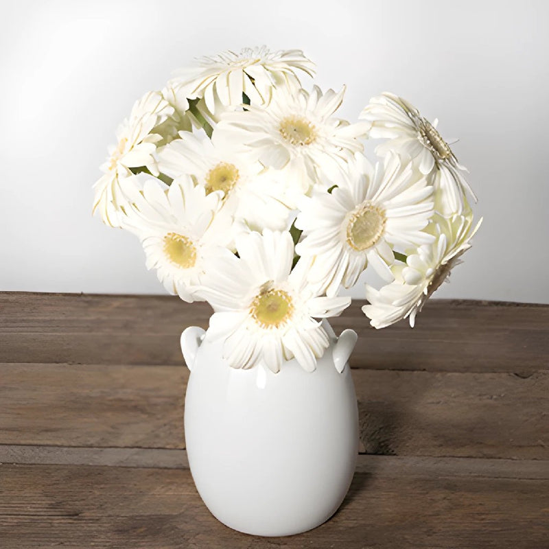Bone white mini gerbera daisy bulk wedding flowers
