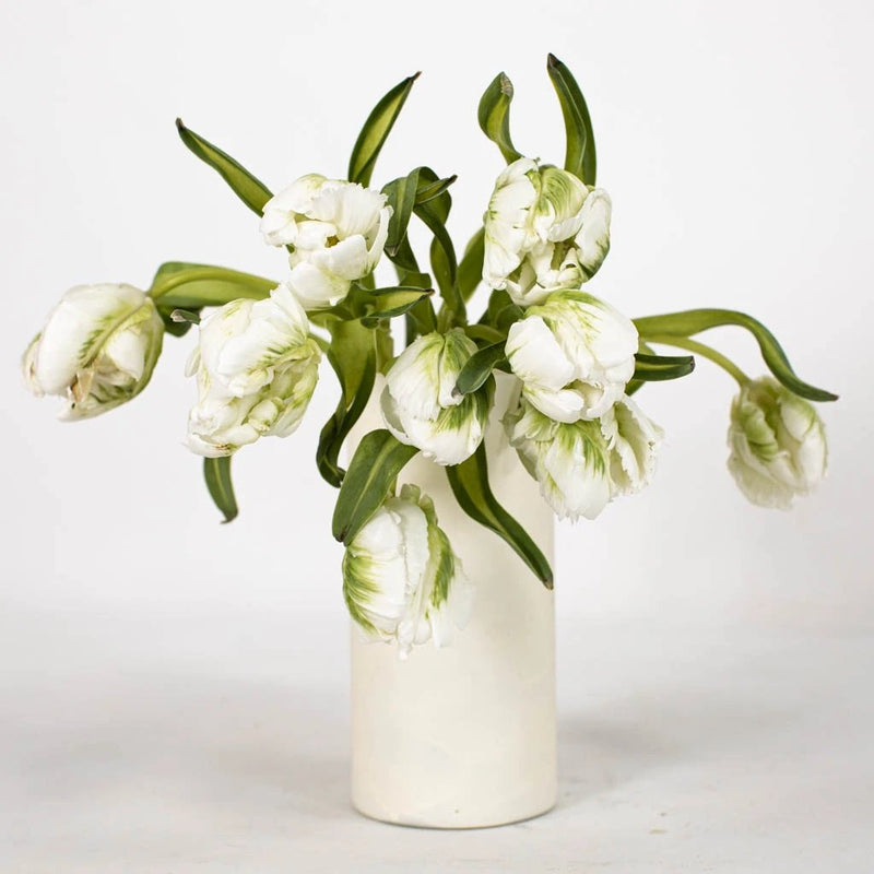 White and Green Parrot Tulip Flower Bunch in Vase
