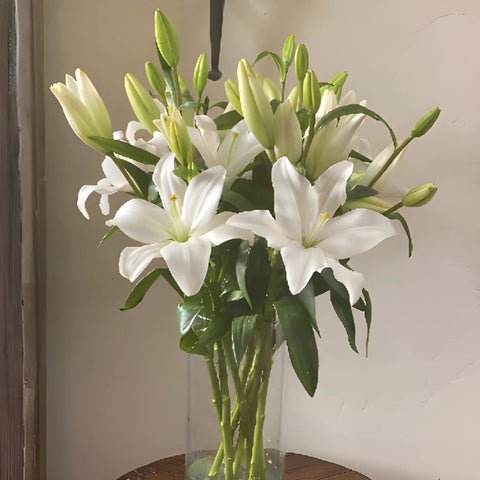 Classic Mothers Day Lillies