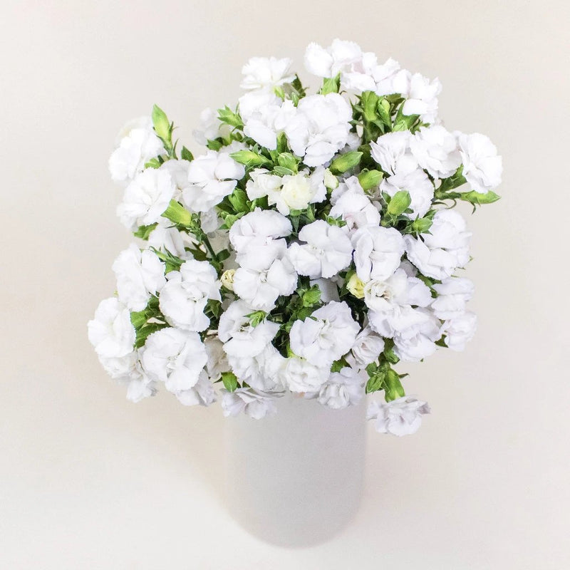White Lilipot Wholesale Flowers in Vase