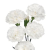 White Carnation Flowers Spray
