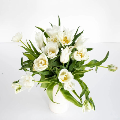 White Tulip Bouquet Flower Bunch in Vase