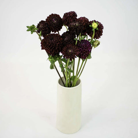 Wine Dahlia Velvet Flower Bunch in Vase