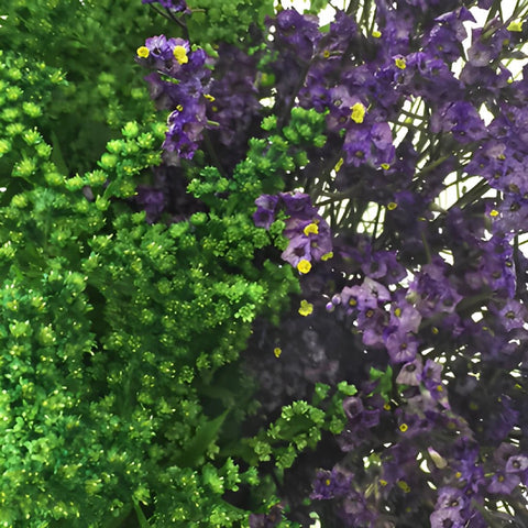 Wispy Filler Green and Purple DIY Flower Kit Up Close