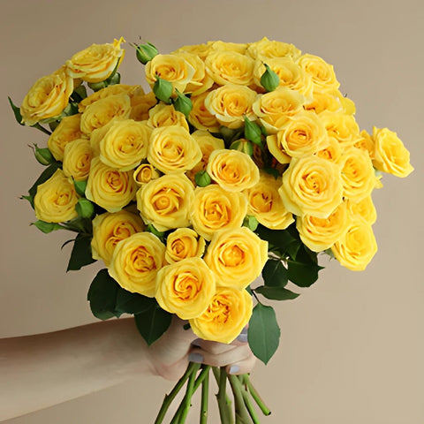 Yellow Babe Wholesale Rose Bunch in a hand