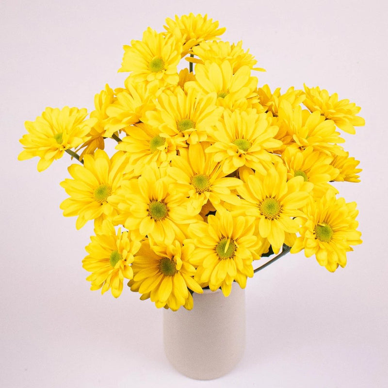 Bright Yellow Daisy Flower Bunch in Vase