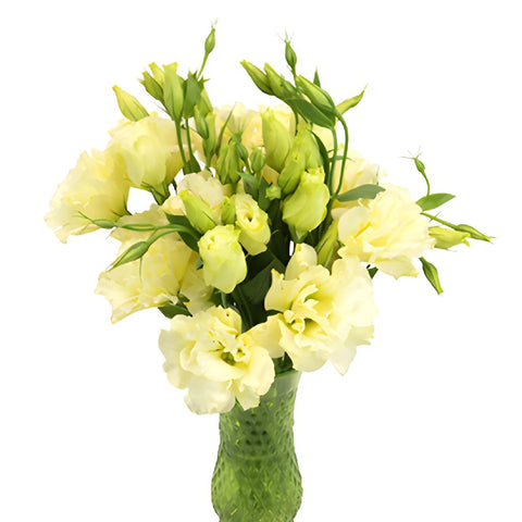 Yellow Designer Lisianthus Wholesale Flower In a vase