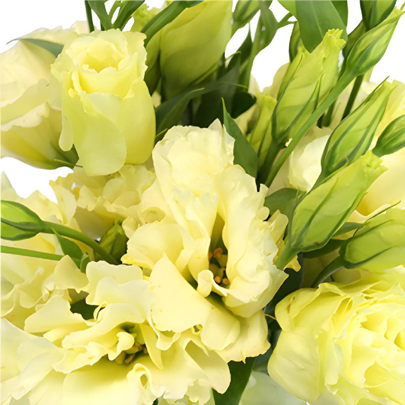 yellow lisianthus bouquet