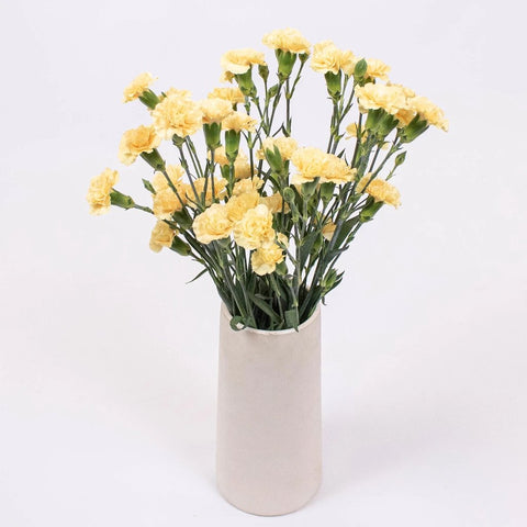 Yellow Mini Carnation Flower Bunch in Vase