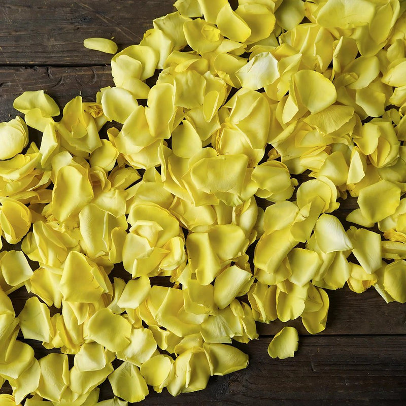 Yellow Rose Petals for sale