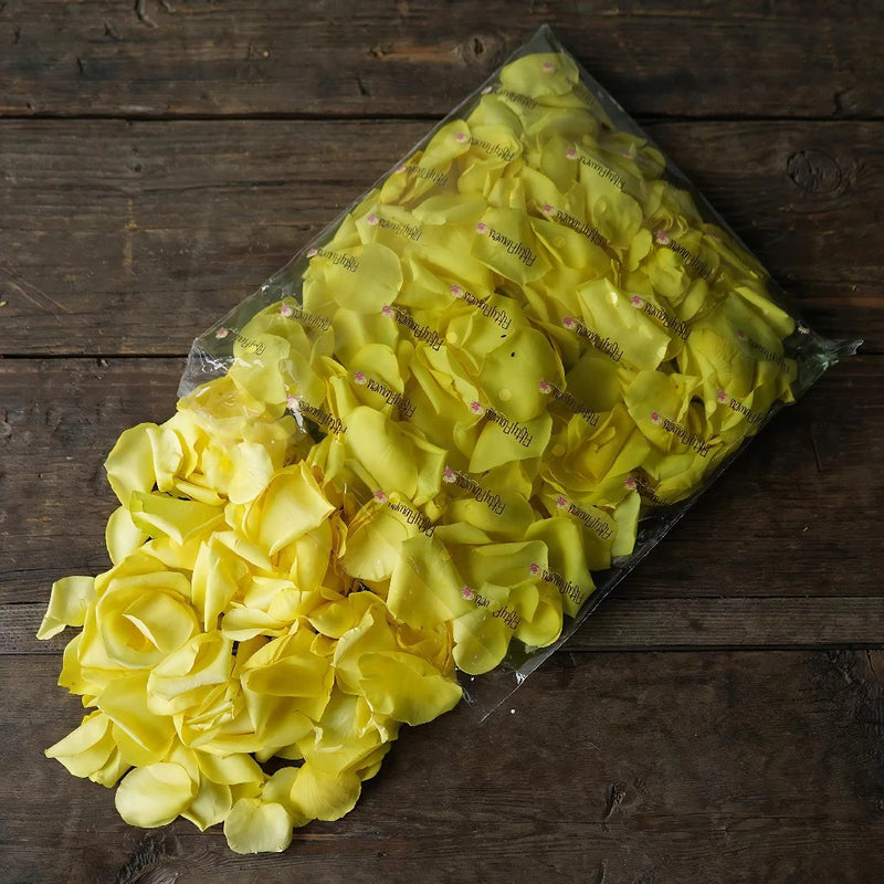 Yellow Fresh Rose Petals Wholesale