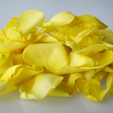 Yellow Real Roses Petals